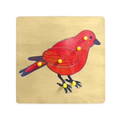 ต่อภาพรูปนก