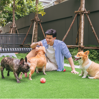 ARLO Sukhumvit 105-Lasalle | Pet-Friendly | Near BTS ARLO Sukhumvit 105-Lasalle | Pet-Friendly | Near BTS