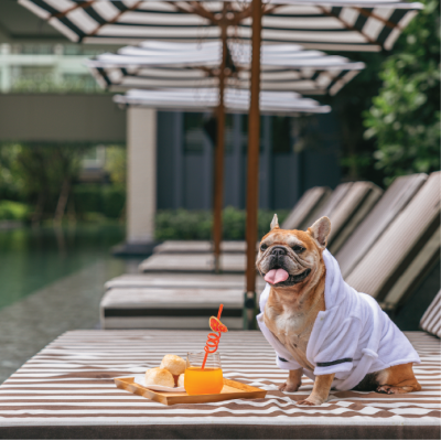 ARLO Sukhumvit 105-Lasalle | Pet-Friendly | Near BTS