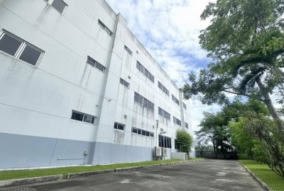 Industrial Factory & Warehouse | Purple Zone | Lat Krabang