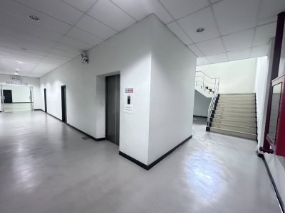 Industrial Factory & Warehouse | Purple Zone | Lat Krabang