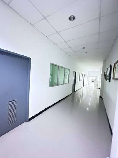 Industrial Factory & Warehouse | Purple Zone | Lat Krabang