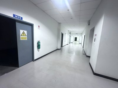 Industrial Factory & Warehouse | Purple Zone | Lat Krabang