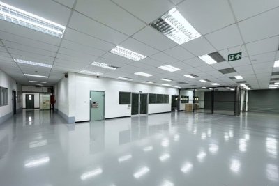 Industrial Factory & Warehouse | Purple Zone | Lat Krabang