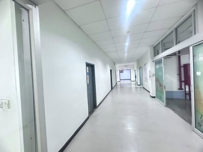 Industrial Factory & Warehouse | Purple Zone | Lat Krabang