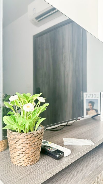 Ellio Del Nest｜近 BTS Udomsuk