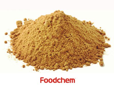 Hydrolyzed Vegetable Protein (HVP) (โปรตีนสกัดจากพืชไฮโดรไลซ์)