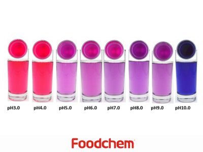 Red Cabbage Color (สารให้สีจากกะหล่ำปลีม่วง)