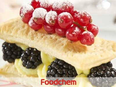 Sodium stearoyl lactylate(SSL) (โซเดียม สเตียโรอิล แลคทิเลต)