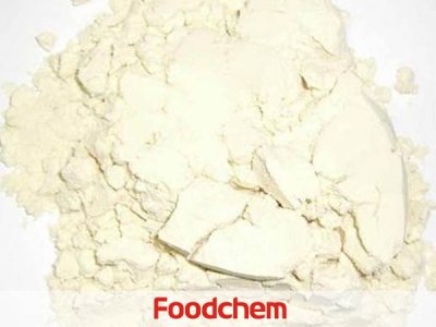 Soy Protein Concentrated