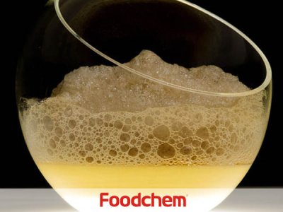 Soy Lecithin (ซอยเลซิทิน หรือ เลซิทินจากถั่วเหลือง)