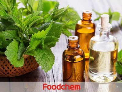 Peppermint Oil (น้ำมันเปปเปอร์มินต์)