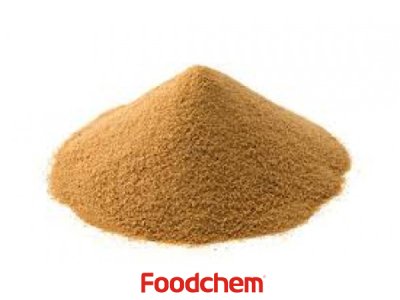 Yeast Extract (สารสกัดจากยีสต์)