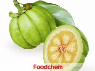 Garcinia Cambogia Extract (สารสกัดจากส้มแขก)