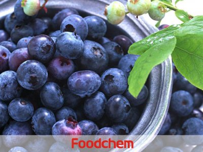 Bilberry Extract (สารสกัดจากบิลเบอร์รี่) – Anthocyanins (แอนโทไซยานิน)