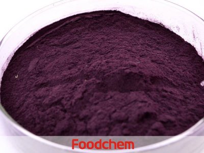 Bilberry Extract (สารสกัดจากบิลเบอร์รี่) – Anthocyanins (แอนโทไซยานิน)