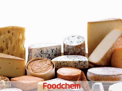 Cheese Flavor (กลิ่นผสมอาหารรสชีส)