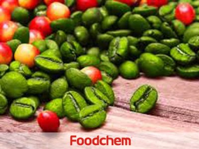 Green Coffee Bean Extract (สารสกัดจากเมล็ดกาแฟเขียว)