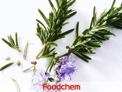 Rosemary Extract (สารสกัดจากโรสแมรี่)