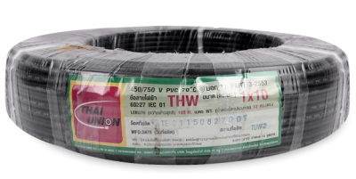 THW 1x10 Sqmm.THAIUNION IEC01