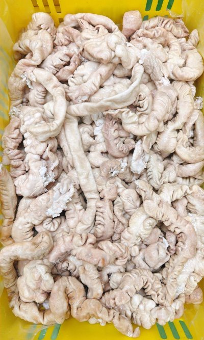 ไส้ใหญ่ลวก