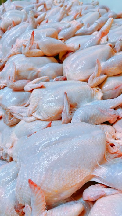 ไก่ตัว (แบบยกถุง 10 กก.)