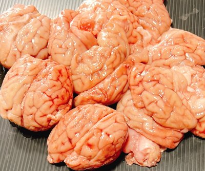 สมองหมู