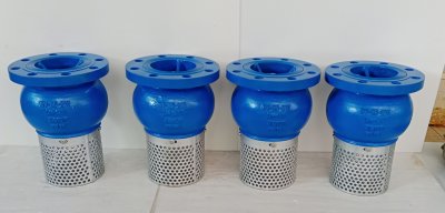 FOOT VALVE CAST IRON JIS 10K