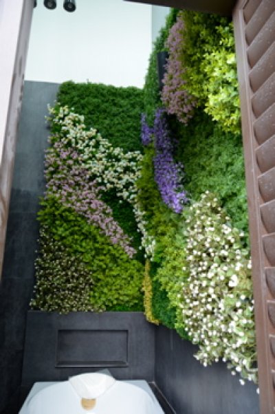Sansiri Place SKV 63