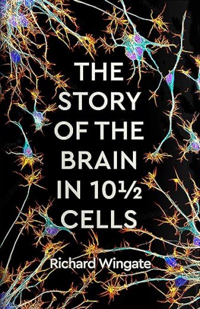 The Story of the Brain in 10½ Cells