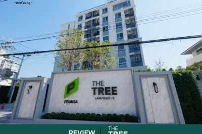 ขายคอนโด The Tree ลาดพร้าว 15 ” ขนาด 22.84 ตร.ม. ชั้น 2 ขายคอนโด The Tree ลาดพร้าว 15 ” ขนาด 22.84 ตร.ม. ชั้น 2