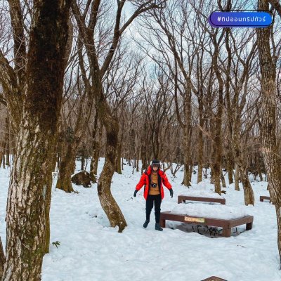รีวิวเกาะเชจู