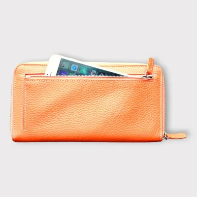 Zippy Travel Wallet