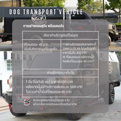 Dog Transport Service