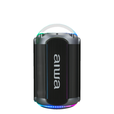 AIWA AW-S3602