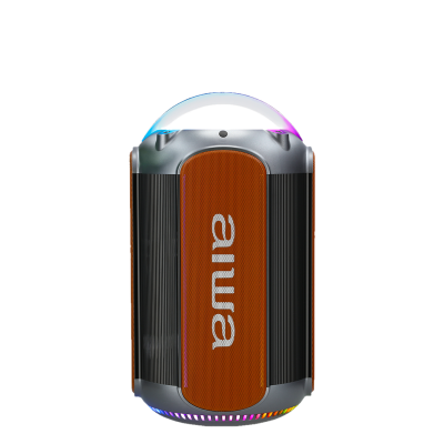 AIWA AW-S3602