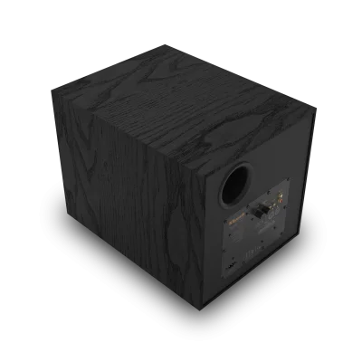 KLIPSCH R-101SW