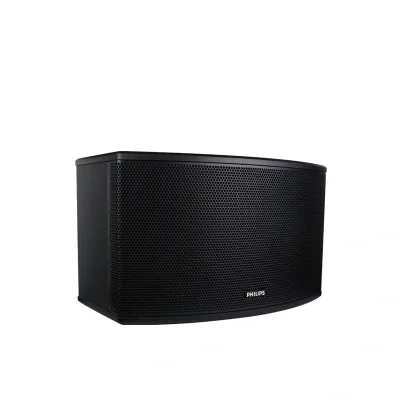 PHILIPS CSS-1310/98