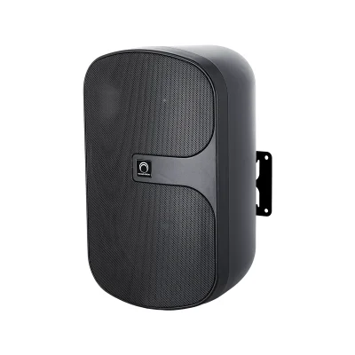 SOUNDVISION SVS-82W