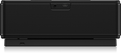 TANNOY LIVE MINI