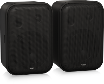 TANNOY VMS 1