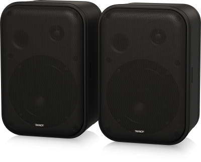 TANNOY VMS 1