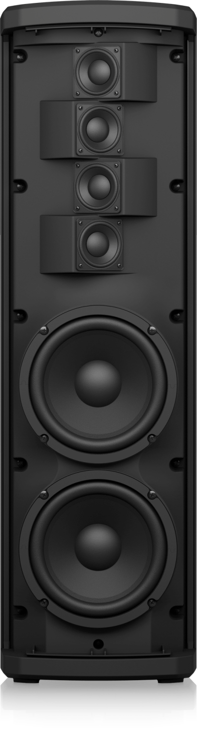 Turbosound iP300 