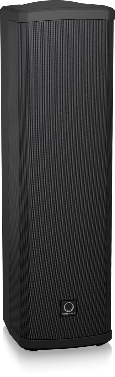 Turbosound iP300 