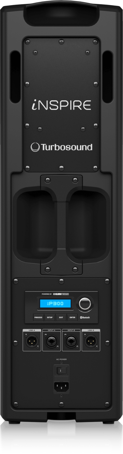 Turbosound iP300 