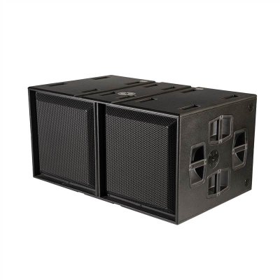 dBTechnologies INGENIA IGS2