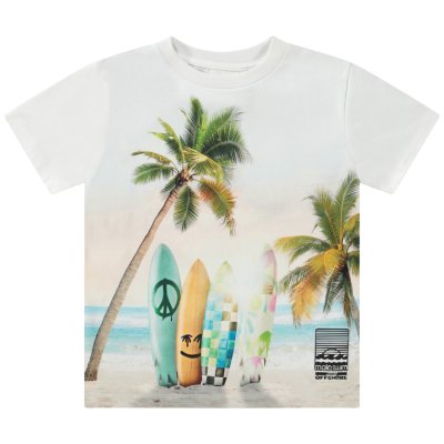 Sunrise Surfer