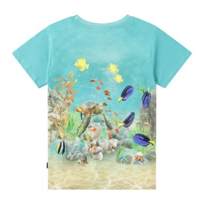Happy Ocean