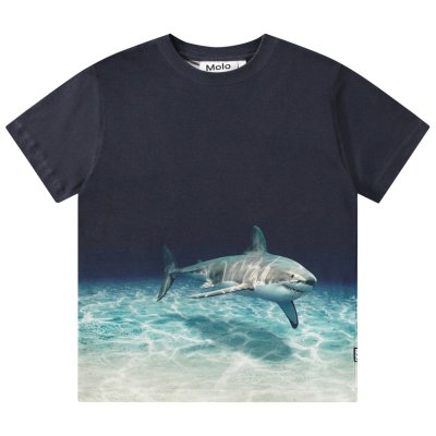 Faded Shark