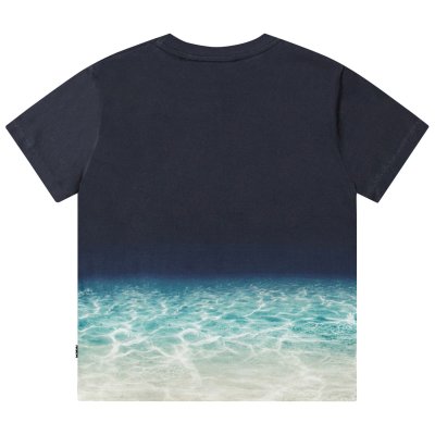 Faded Shark